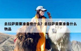 去拉萨需要准备些什么？去拉萨需要准备什么物品