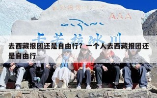 去西藏报团还是自由行？一个人去西藏报团还是自由行