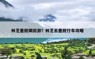 林芝墨脱跟团游？林芝去墨脱行车攻略