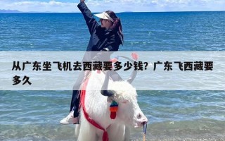 从广东坐飞机去西藏要多少钱？广东飞西藏要多久