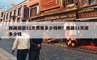 西藏旅游12天费用多少钱啊？西藏11天游多少钱
