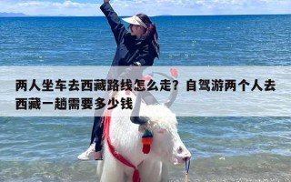两人坐车去西藏路线怎么走？自驾游两个人去西藏一趟需要多少钱