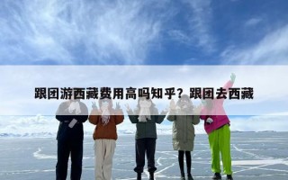 跟团游西藏费用高吗知乎？跟团去西藏