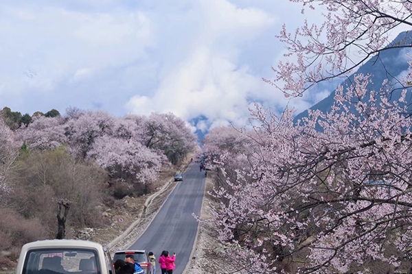 什么季节带爸妈去西藏最合适？带爸妈去西藏旅游什么季节最合适？-第2张图片