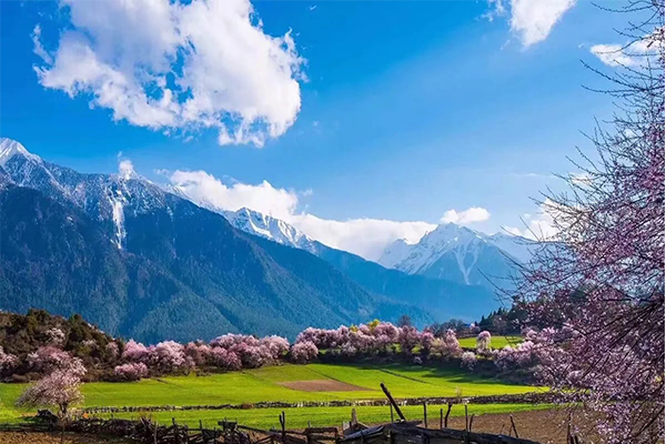 四月到西藏七天游多少钱？4月份去西藏旅游七天费用多少？-第3张图片