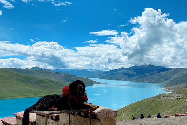 六月西藏旅游8天报团多少钱？六月报团在西藏旅游8天要多少钱？-第3张图片