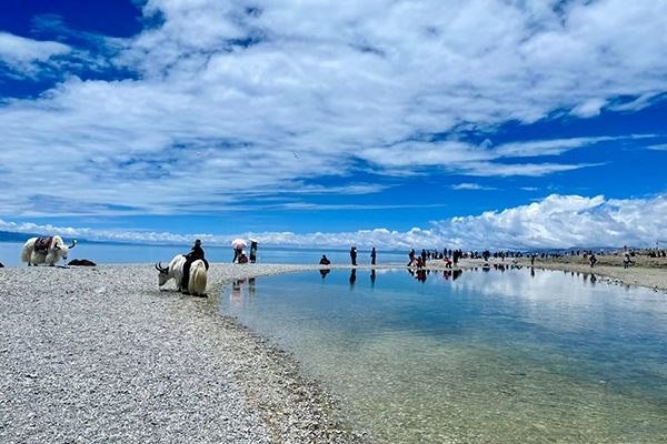 几月份去拉萨旅游最佳？几月份去拉萨旅游最佳季节？-第3张图片