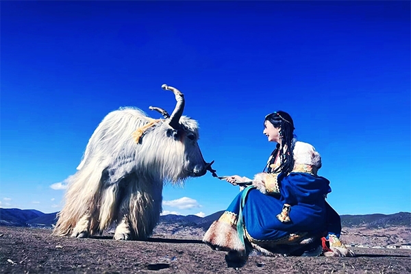 西藏要几月份去比较合适？西藏几月去合适旅游比较好?