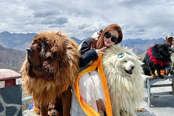 2月份适不适合去西藏旅游？2月去西藏旅游适合吗？