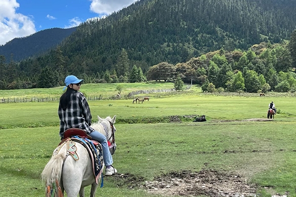 西藏旅游准备多少钱合适呢？3月去西藏旅游要带多少钱啊？