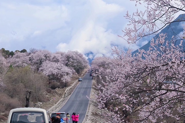 3月拉萨到林芝跟团游多少钱一人？三月到拉萨林芝跟团一人费用多少？