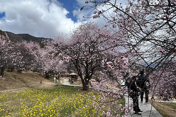 3月份拉萨旅行多少天最好？三月到拉萨旅游多久合适？