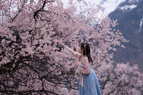 桃花节到西藏报旅游团多少钱一人？西藏桃花节报团旅游费用多少？
