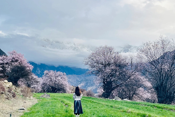 三月下旬林芝天气好不好？林芝3月下旬天气怎么样？