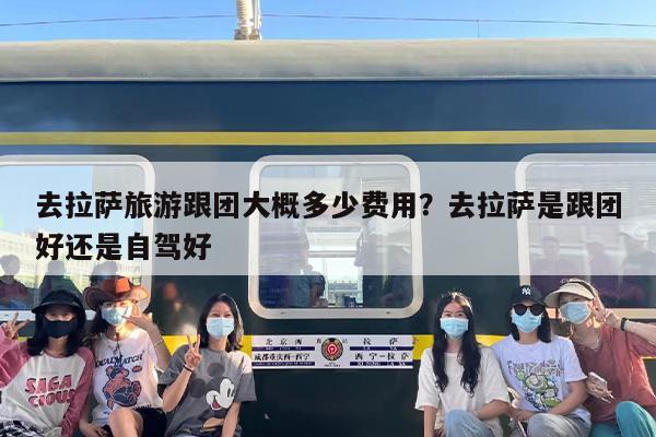 去拉萨旅游跟团大概多少费用？去拉萨是跟团好还是自驾好-第1张图片