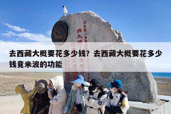 去西藏大概要花多少钱？去西藏大概要花多少钱竟米波的功能-第1张图片
