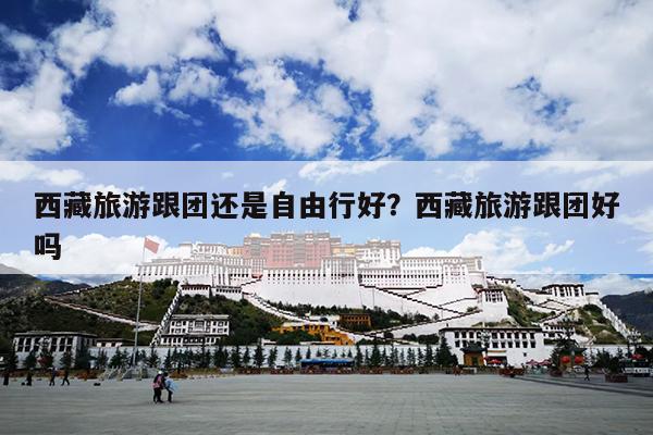 西藏旅游跟团还是自由行好？西藏旅游跟团好吗-第1张图片
