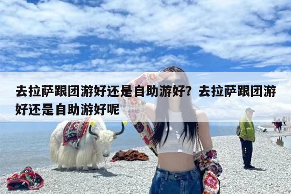 去拉萨跟团游好还是自助游好？去拉萨跟团游好还是自助游好呢-第1张图片