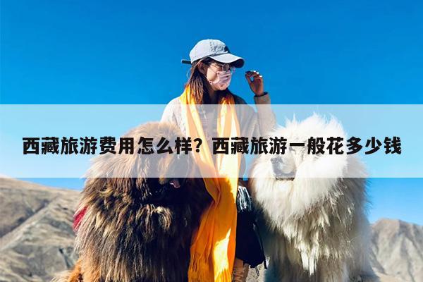 西藏旅游费用怎么样？西藏旅游一般花多少钱-第1张图片