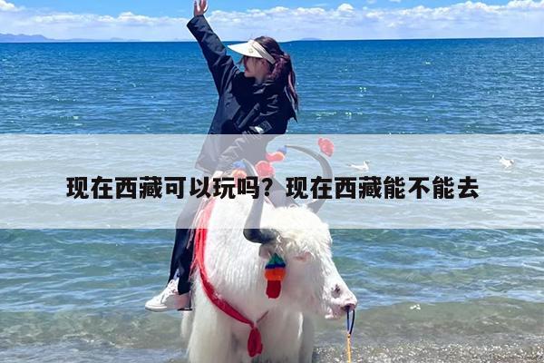 现在西藏可以玩吗？现在西藏能不能去-第1张图片