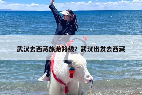 武汉去西藏旅游路线？武汉出发去西藏-第1张图片