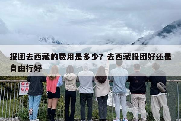 报团去西藏的费用是多少？去西藏报团好还是自由行好-第1张图片