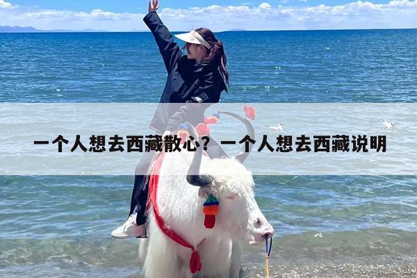 一个人想去西藏散心？一个人想去西藏说明-第1张图片