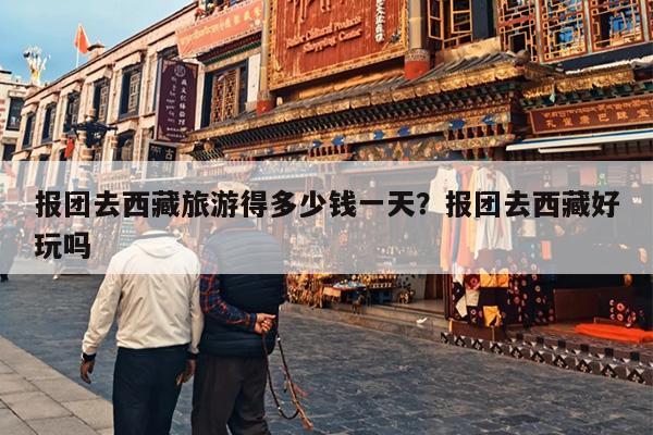 报团去西藏旅游得多少钱一天？报团去西藏好玩吗-第1张图片