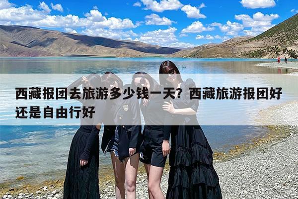 西藏报团去旅游多少钱一天？西藏旅游报团好还是自由行好-第1张图片