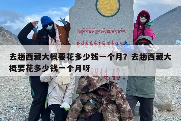 去趟西藏大概要花多少钱一个月？去趟西藏大概要花多少钱一个月呀