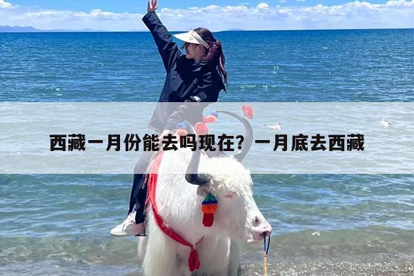 西藏一月份能去吗现在？一月底去西藏