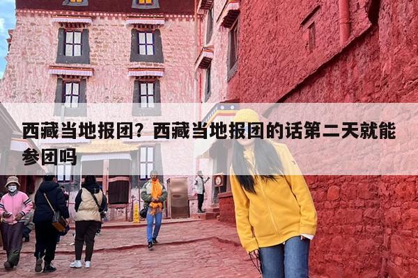 西藏当地报团？西藏当地报团的话第二天就能参团吗-第1张图片
