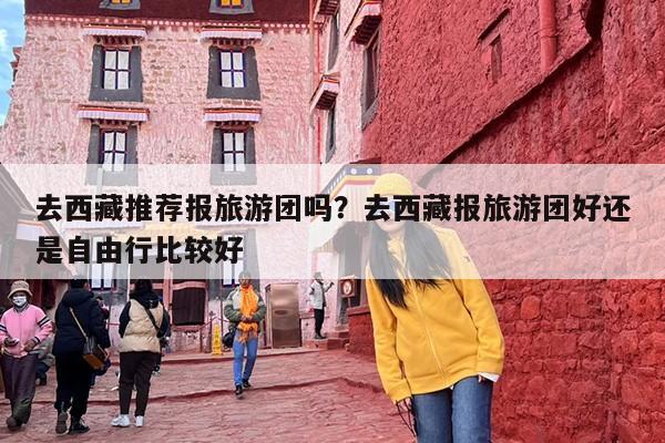 去西藏推荐报旅游团吗？去西藏报旅游团好还是自由行比较好