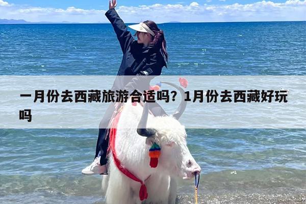 一月份去西藏旅游合适吗？1月份去西藏好玩吗
