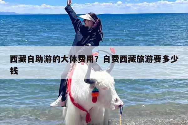 西藏自助游的大体费用？自费西藏旅游要多少钱