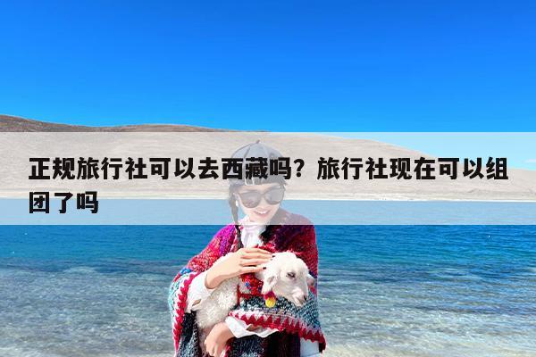 正规旅行社可以去西藏吗？旅行社现在可以组团了吗-第1张图片