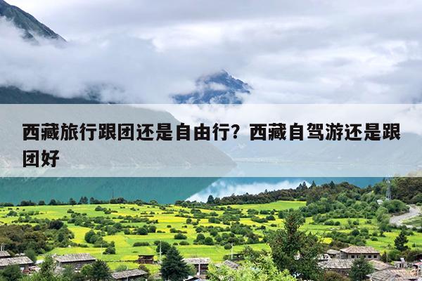 西藏旅行跟团还是自由行？西藏自驾游还是跟团好