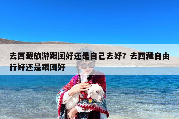 去西藏旅游跟团好还是自己去好？去西藏自由行好还是跟团好