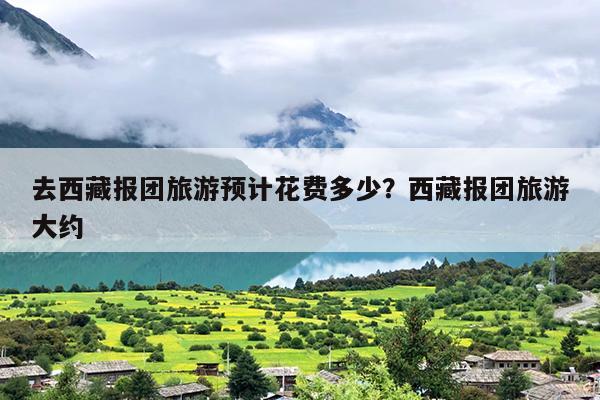 去西藏报团旅游预计花费多少？西藏报团旅游大约