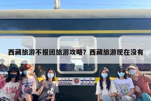 西藏旅游不报团旅游攻略？西藏旅游现在没有