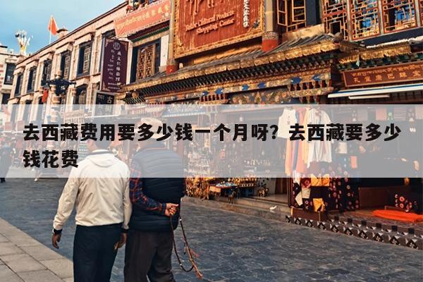 去西藏费用要多少钱一个月呀？去西藏要多少钱花费
