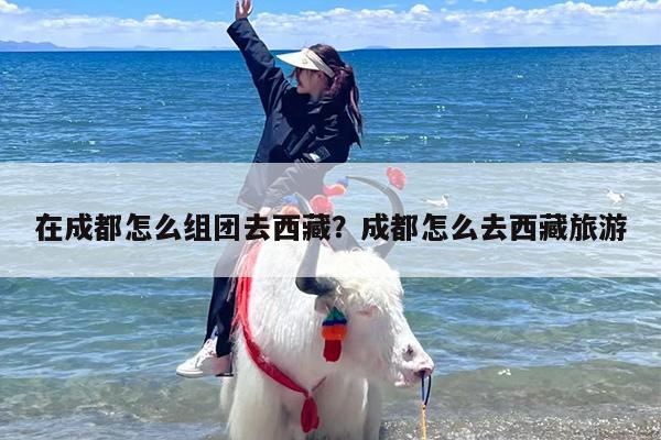 在成都怎么组团去西藏？成都怎么去西藏旅游