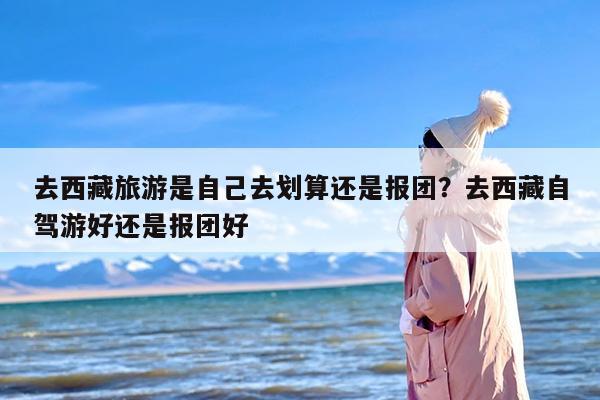 去西藏旅游是自己去划算还是报团？去西藏自驾游好还是报团好