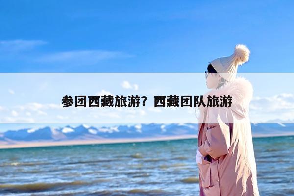 参团西藏旅游？西藏团队旅游