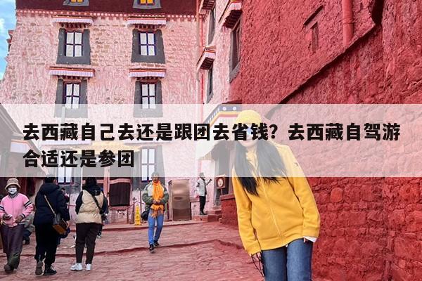 去西藏自己去还是跟团去省钱？去西藏自驾游合适还是参团