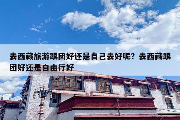 去西藏旅游跟团好还是自己去好呢？去西藏跟团好还是自由行好