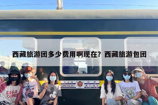 西藏旅游团多少费用啊现在？西藏旅游包团