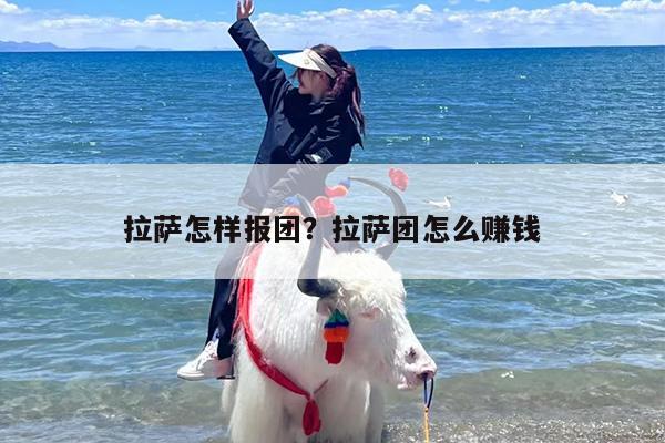拉萨怎样报团？拉萨团怎么赚钱