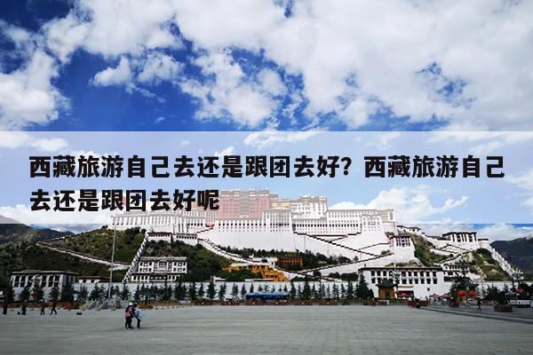 西藏旅游自己去还是跟团去好？西藏旅游自己去还是跟团去好呢
