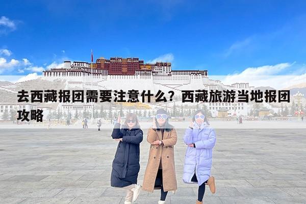 去西藏报团需要注意什么？西藏旅游当地报团攻略